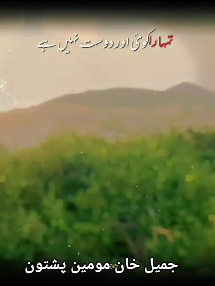 @جمیل خان