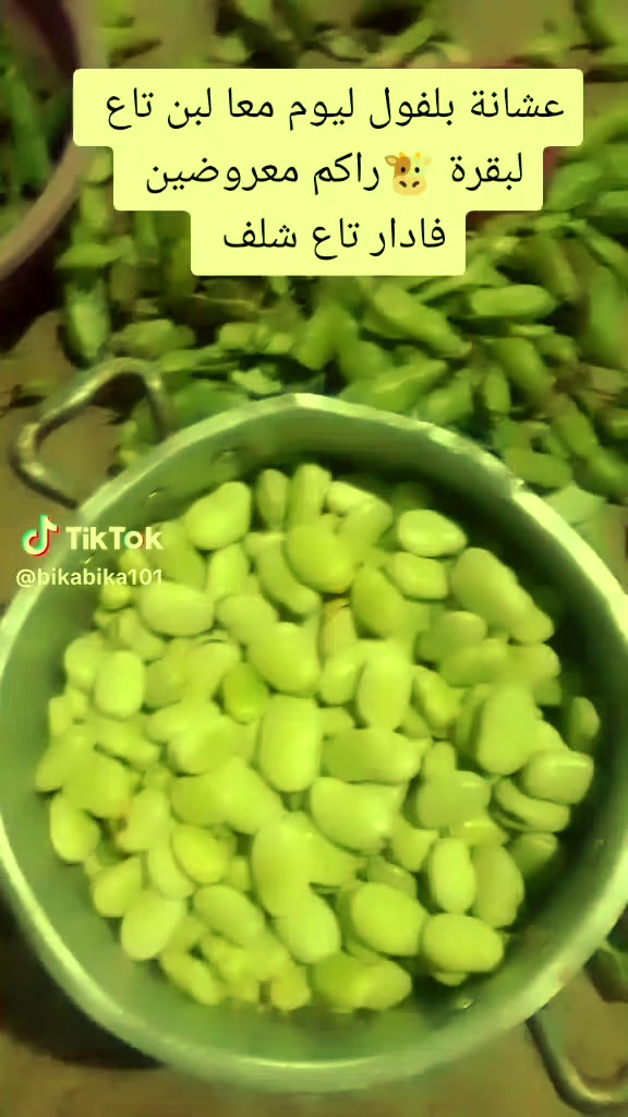 @عاشق لقطط😹