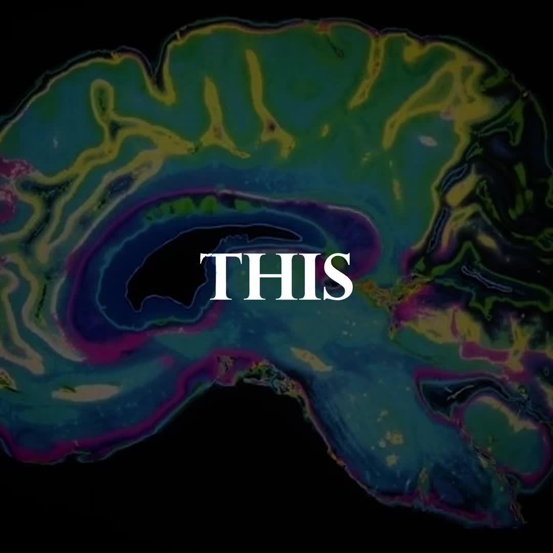 @MindTrace
