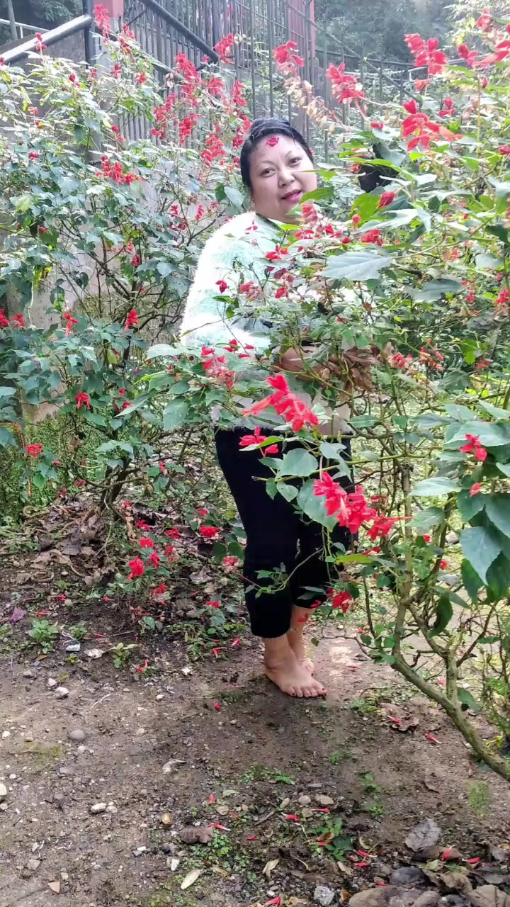 @Amrita sinjali🌹🌹🌹