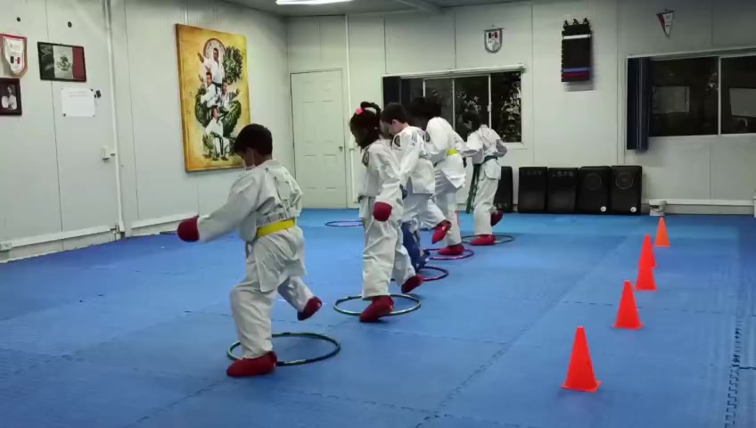 @Karate LSDG
