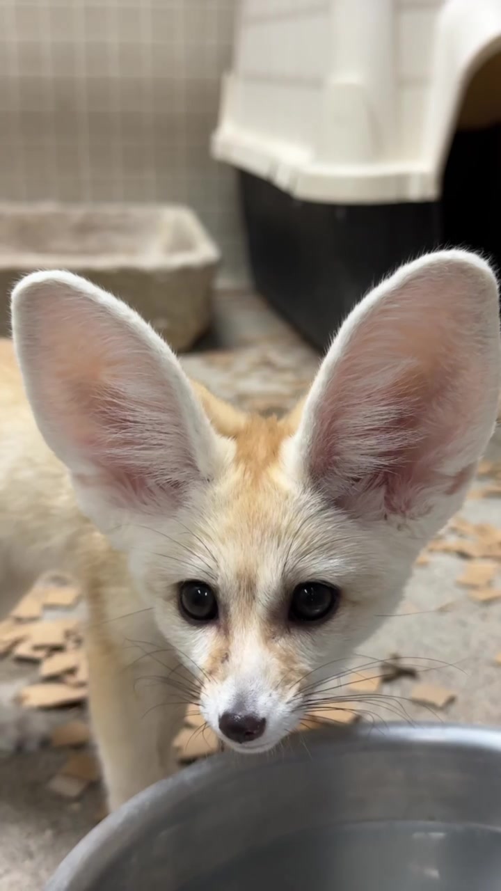 @Cincinnati Zoo