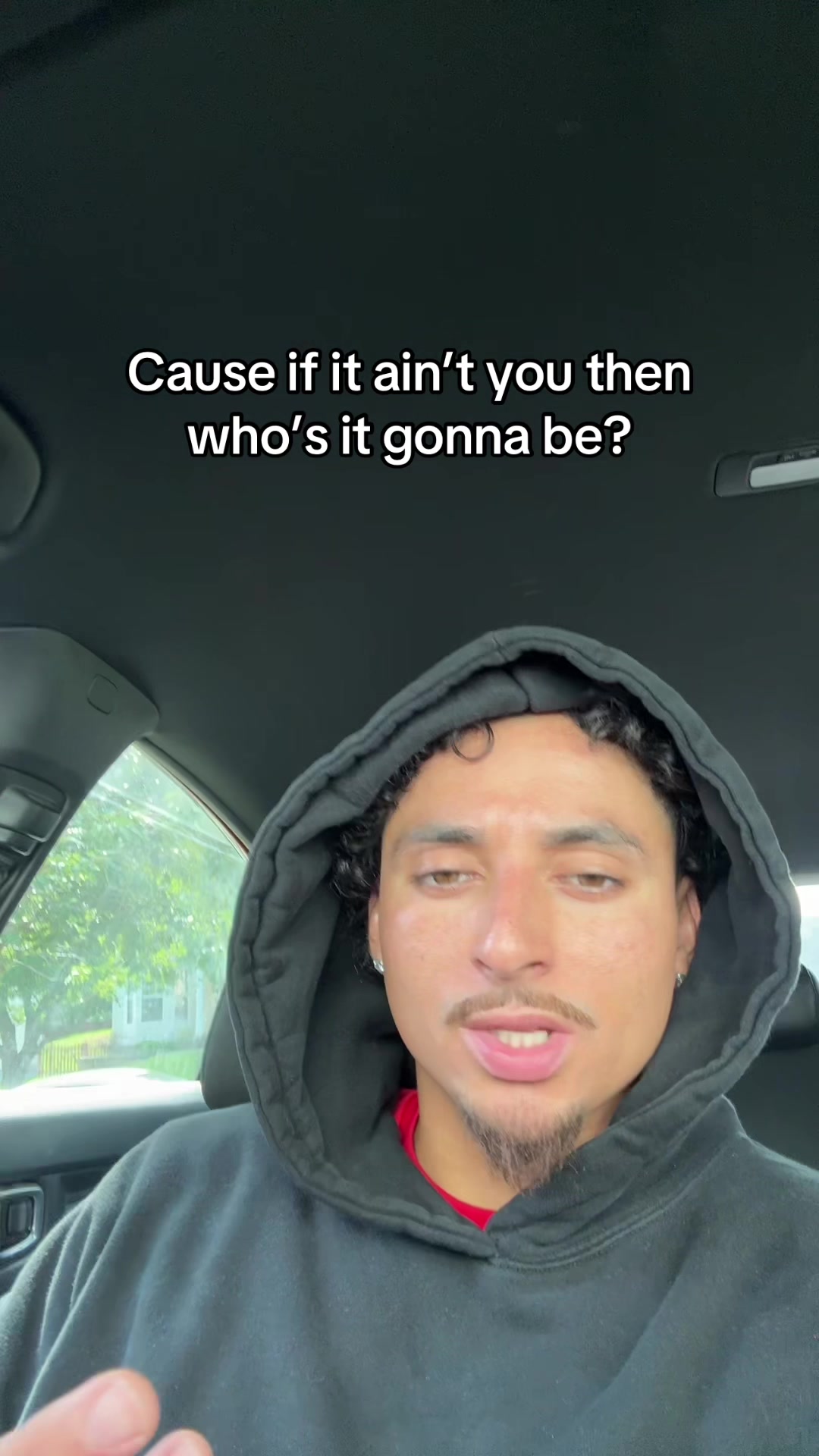 @Ant 🐜