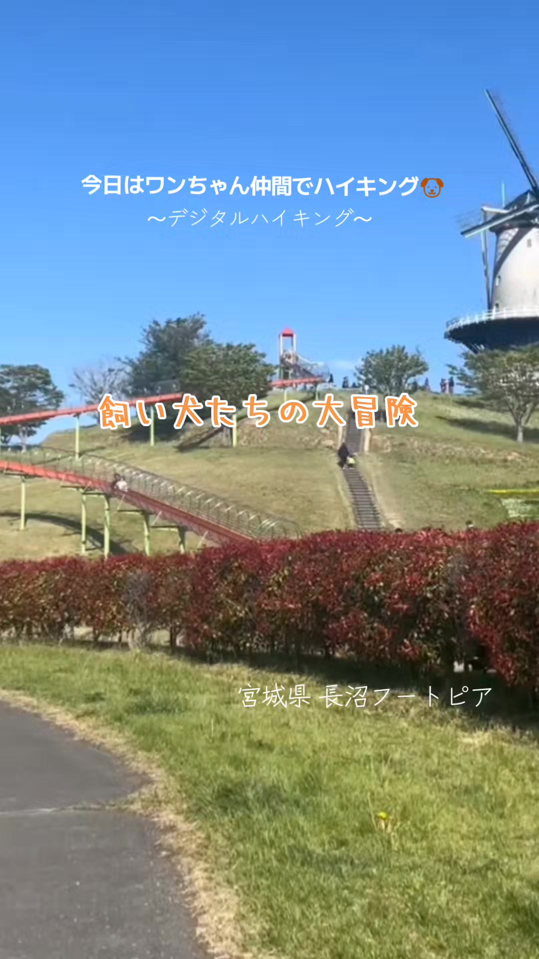 @cjカオル