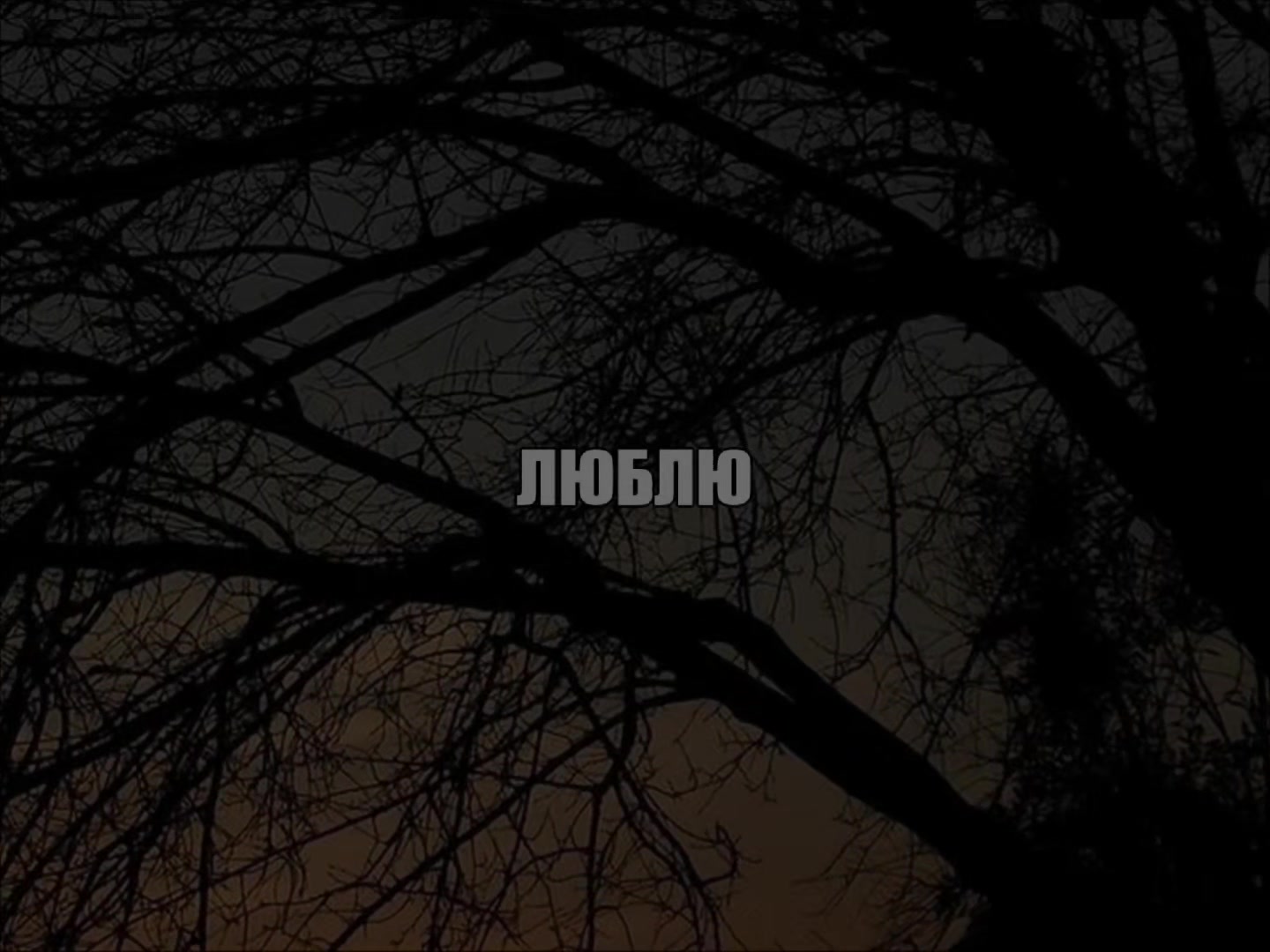 @SearchVibe.music