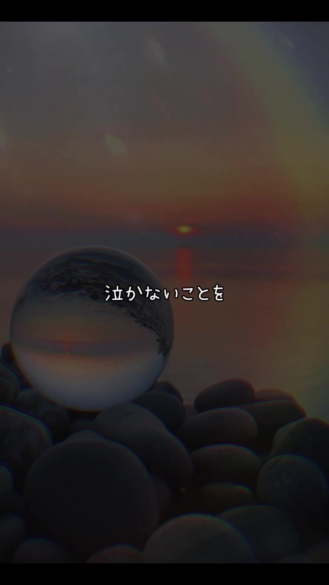 @⚜️Shi_zu_ki⚜️