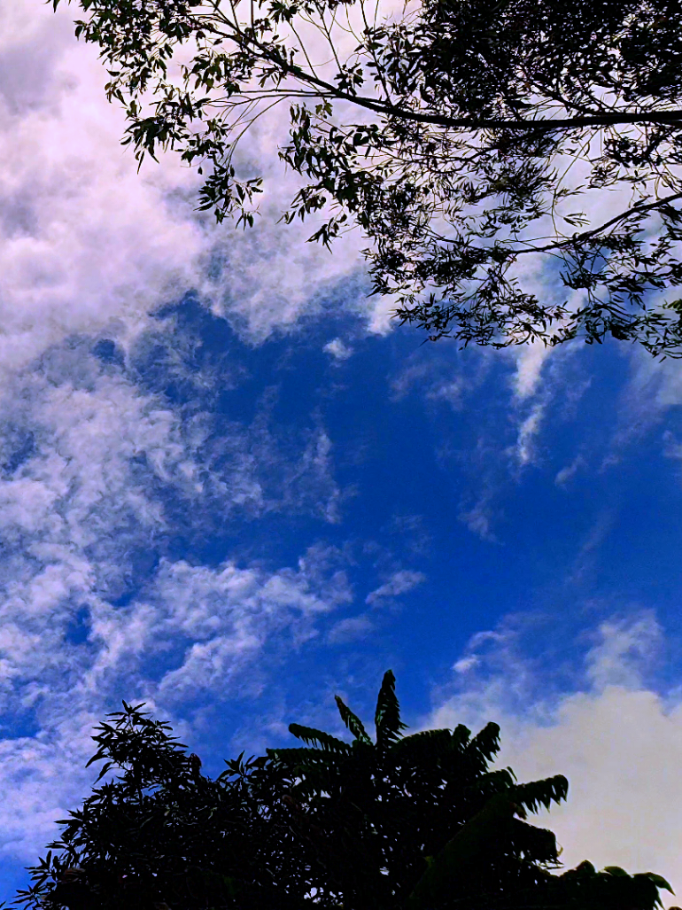 @🪺🦋বাংলার প্রকৃতি 🌾🌹