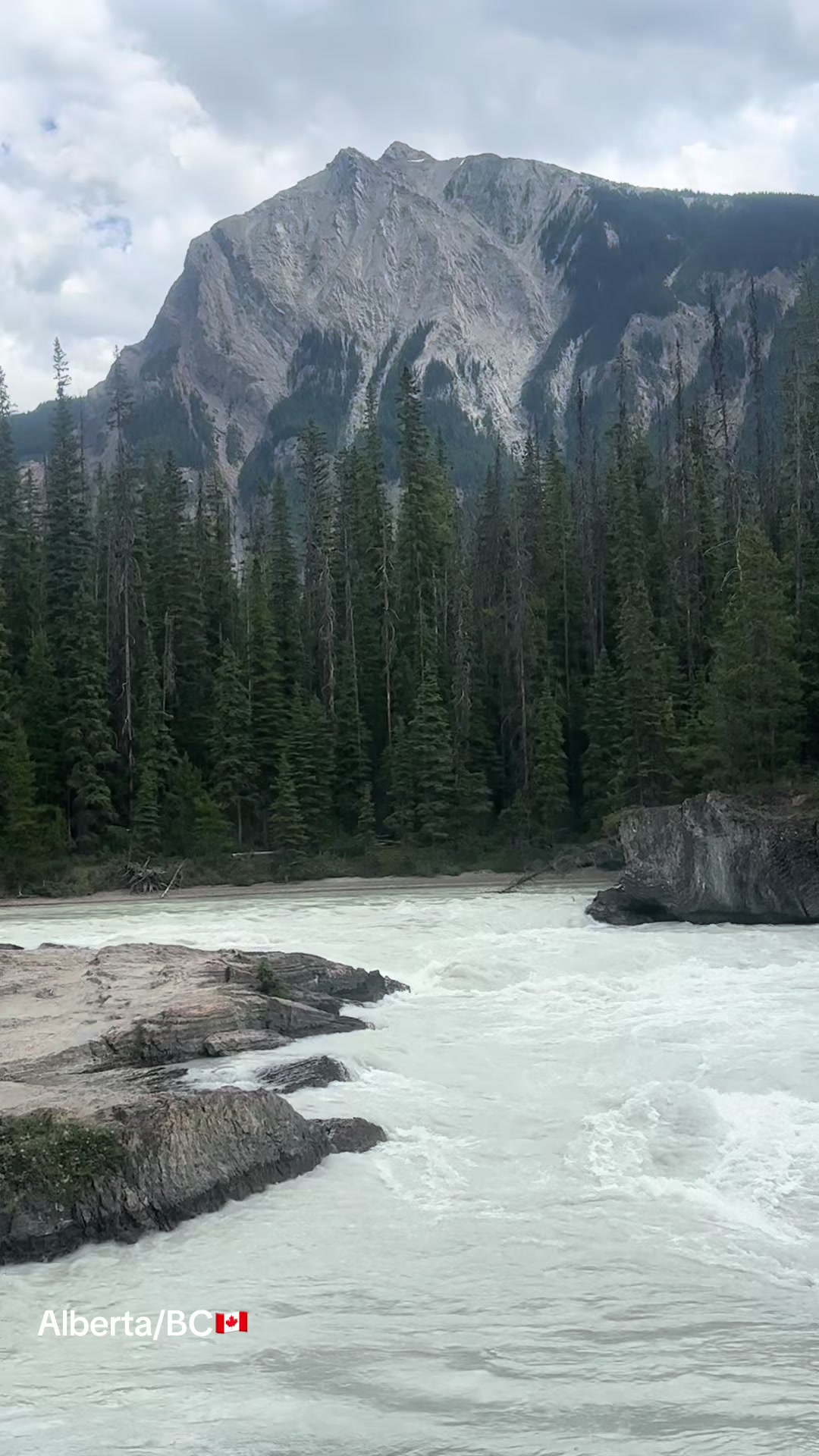 @Ada 🇨🇦