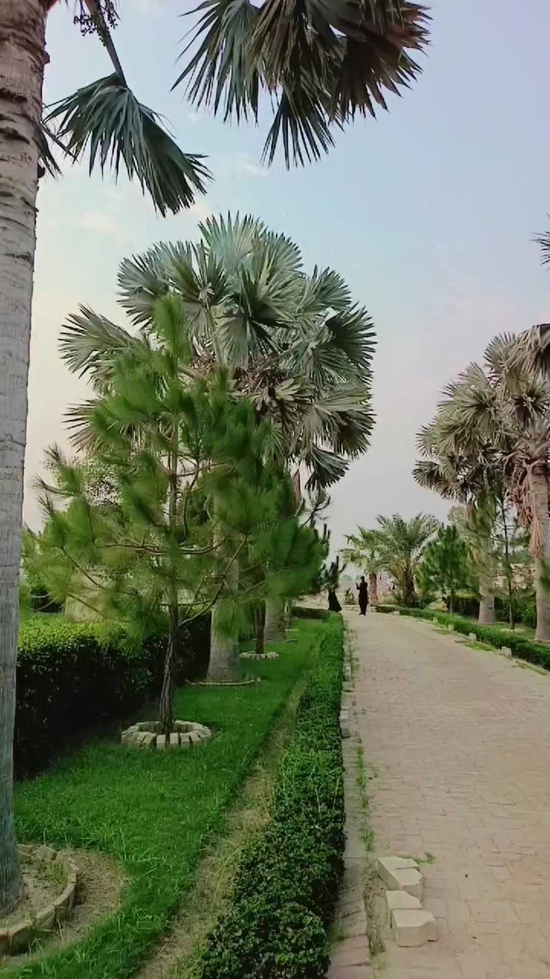 @Sidra Rajpoot