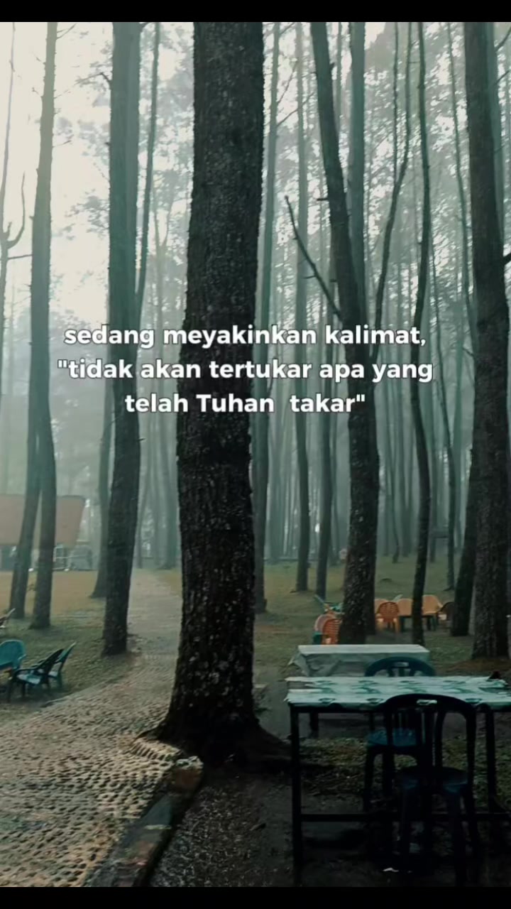 @Nellysiregar