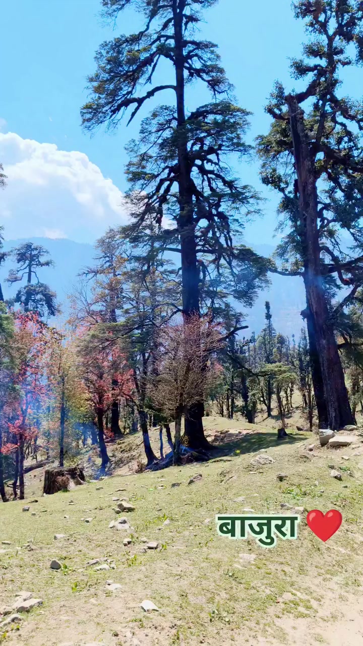 @दीपक