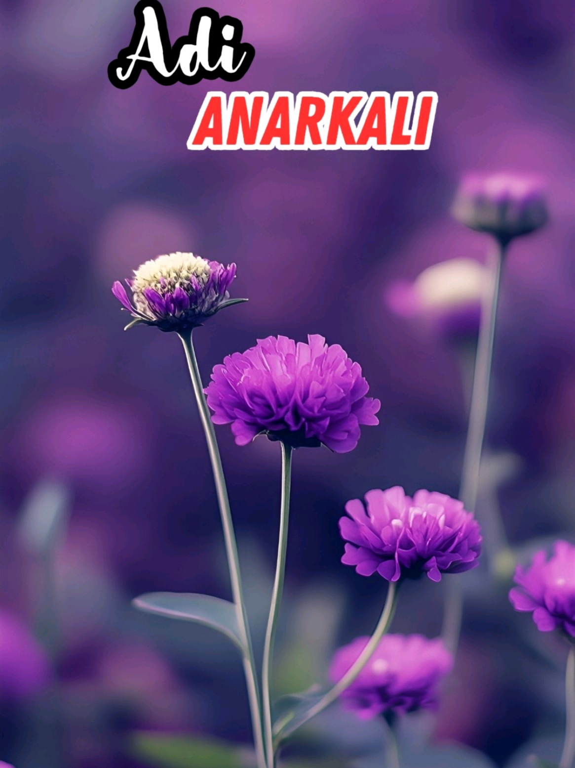 @Maari_lyrics😎