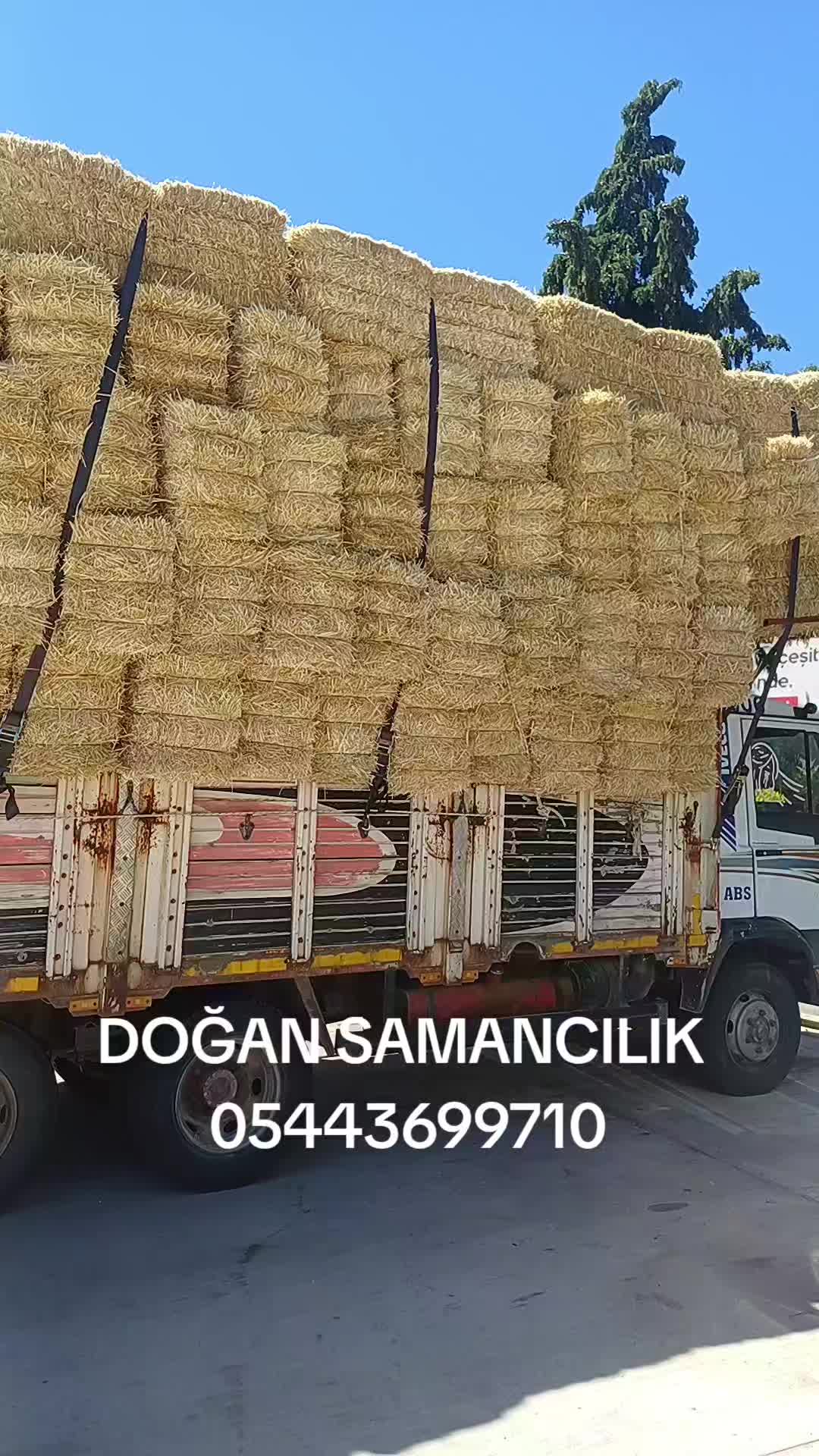 @Hamza Dogan