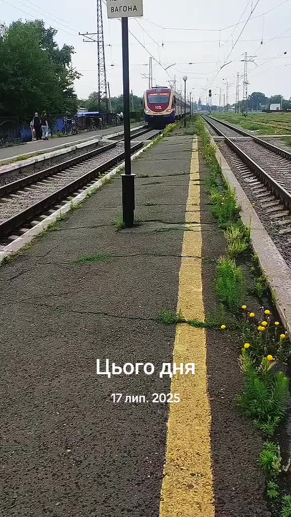 @Николаевич