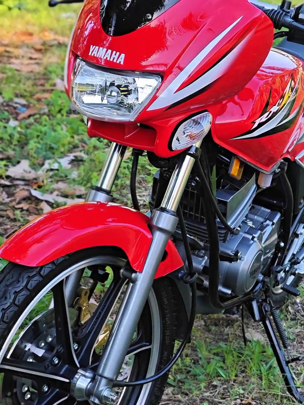 @Trashditional Detailing