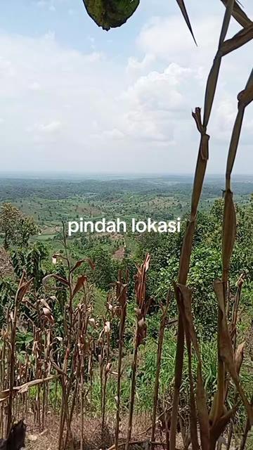 @CAH GANTENG