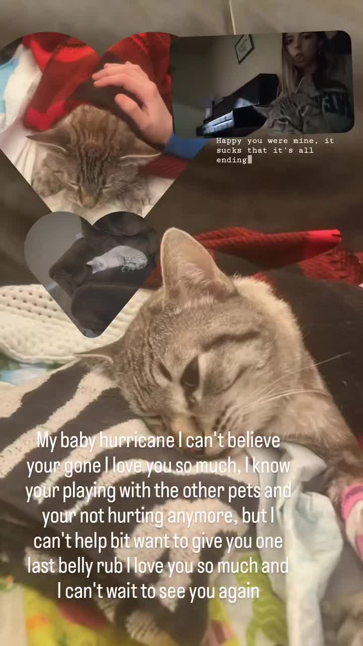 @Akiah.v.♡