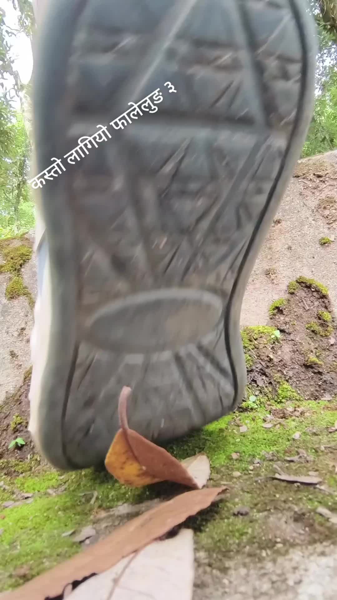 @चाम्लिङ राई  🇳🇵🇳🇵💐💐🥀🥀