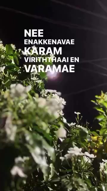 @💞Yamunadevi Jayabalan💞