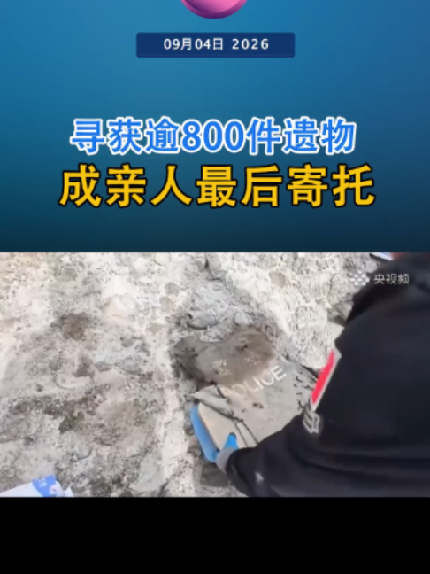 @中国报