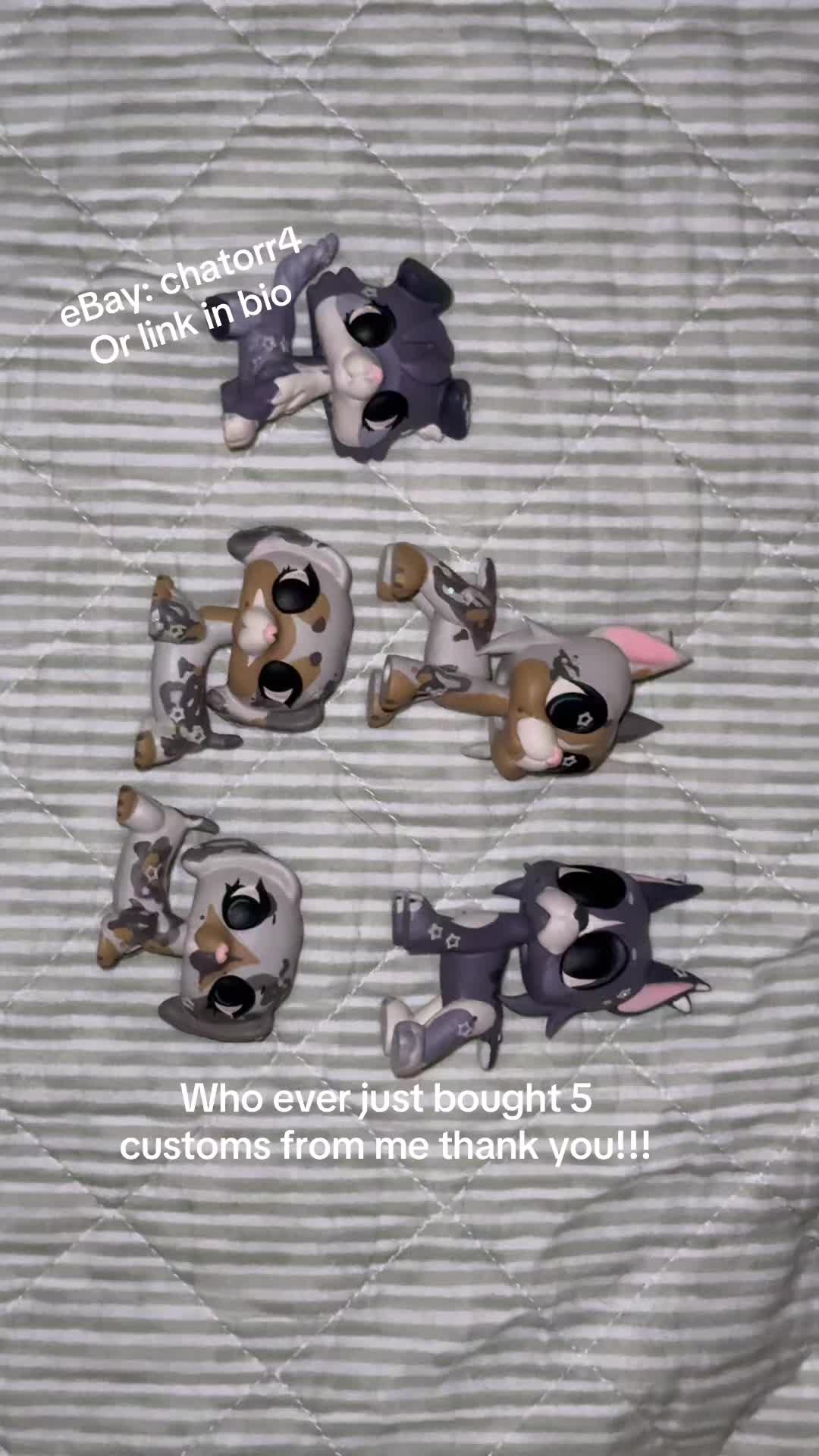 @Lpsplanet🪐