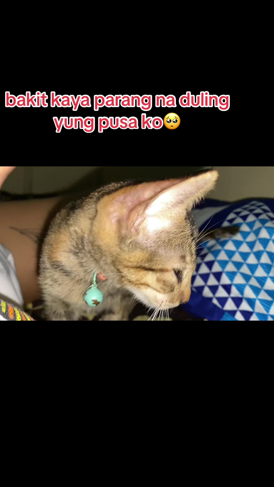 @zhinB