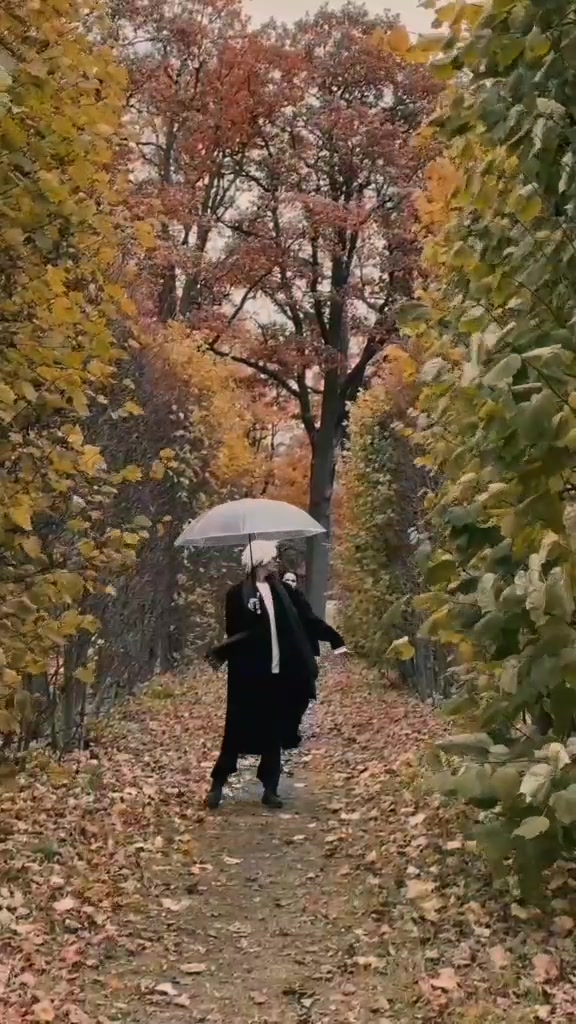 @ᴍɪꜱʜᴀ ᴋᴀᴏʀɪ
