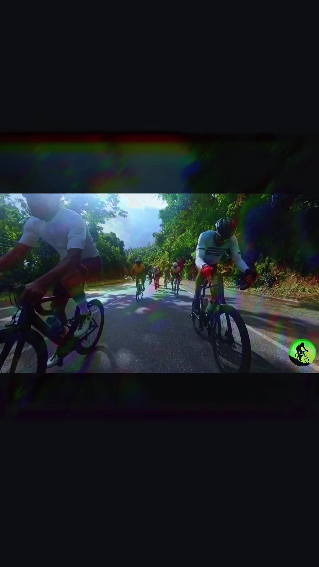 @pedalpulse