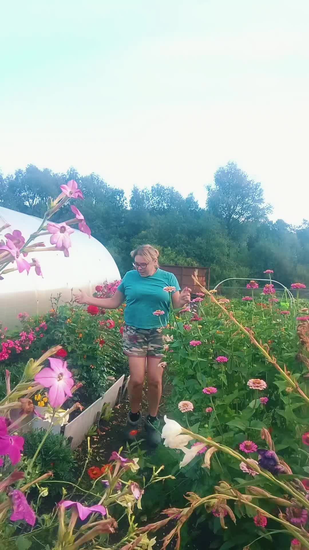 @Алёнушка