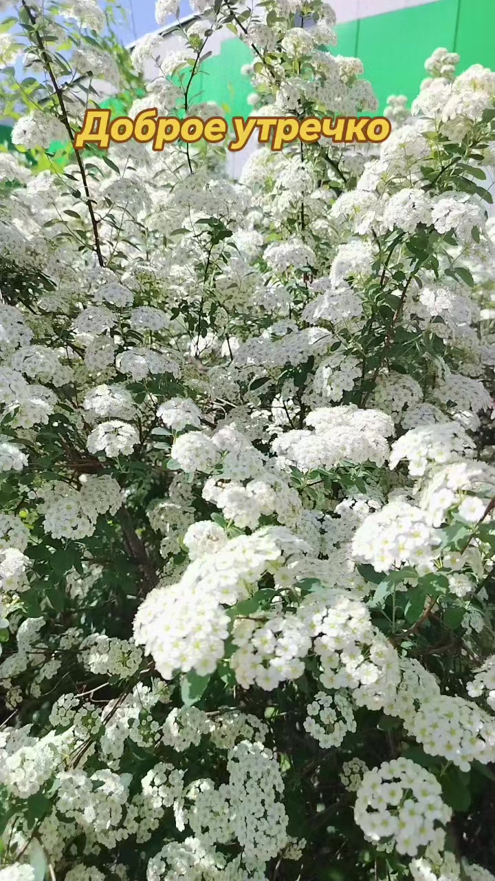 @♥️МАЛЕНЬКАЯ ♥️