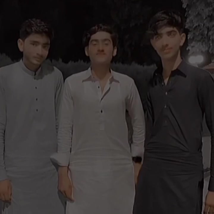@sultanshaikh613