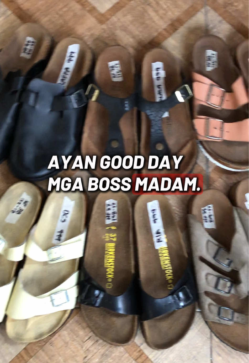 @DAILY BIRKS