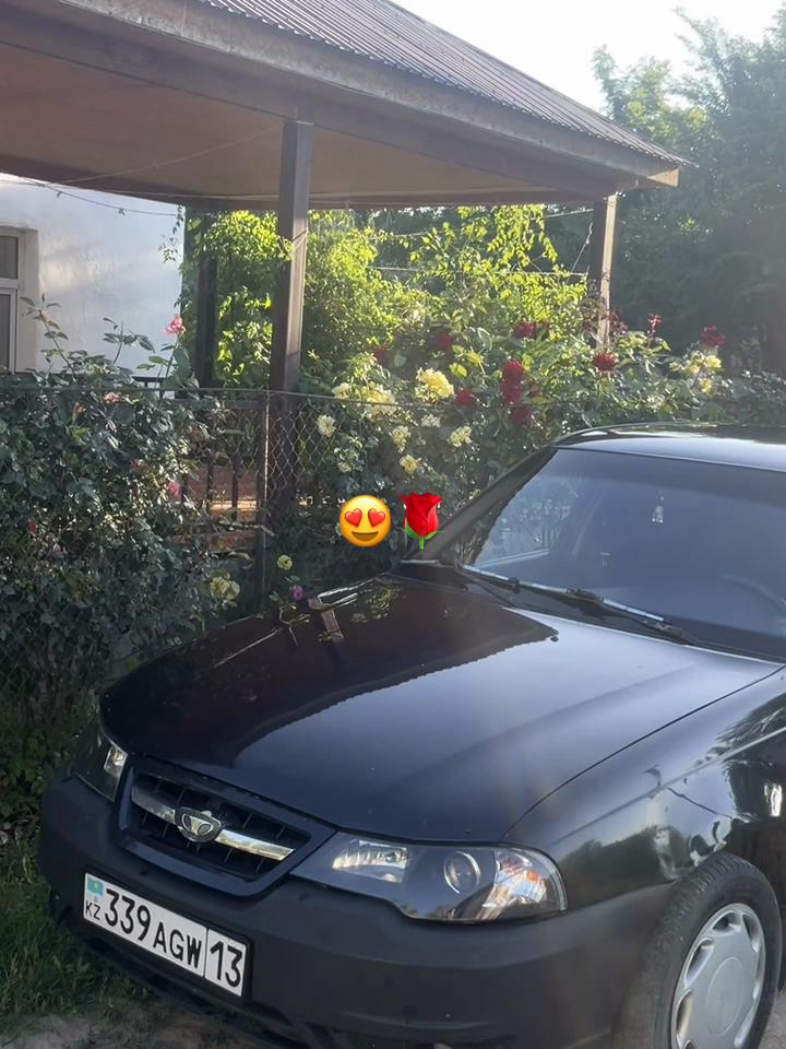 @Сары_🦅