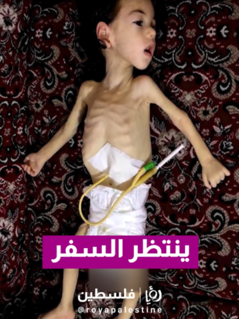 @Royapalestine رؤيا فلسطين