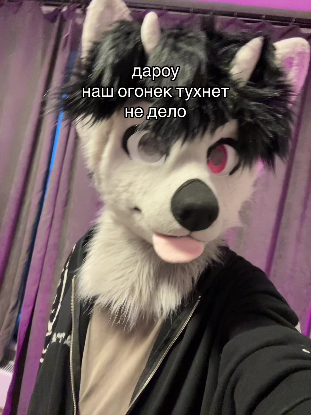 @фыркалко 🐾