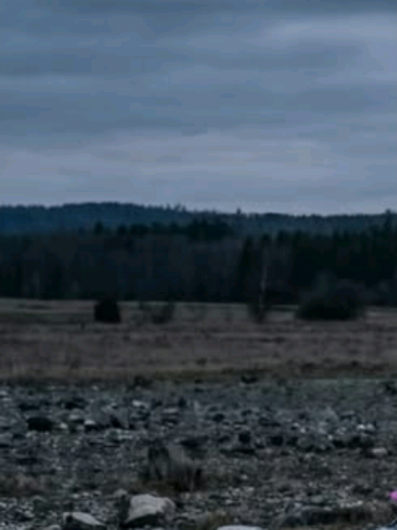 @Fassyyy.