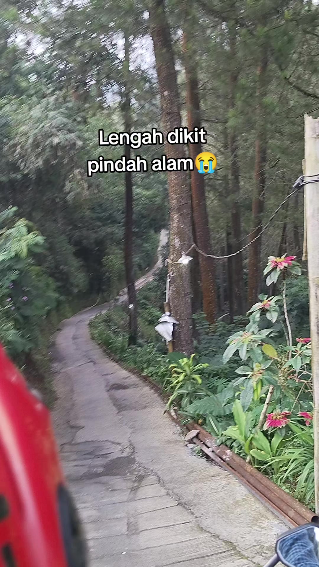 @KedaiOren