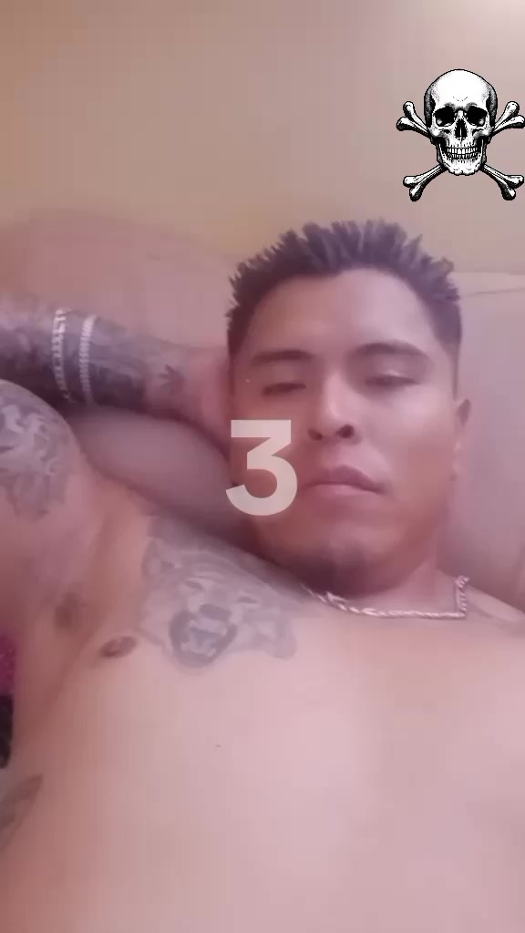 @cachorro