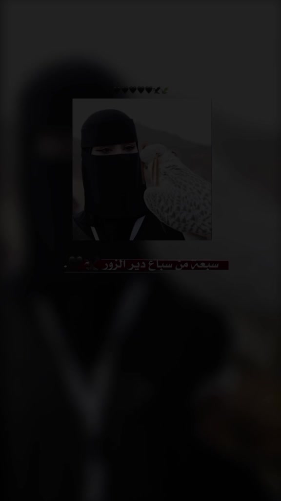 @🍯🦋عــســولـهـ🦋🍯