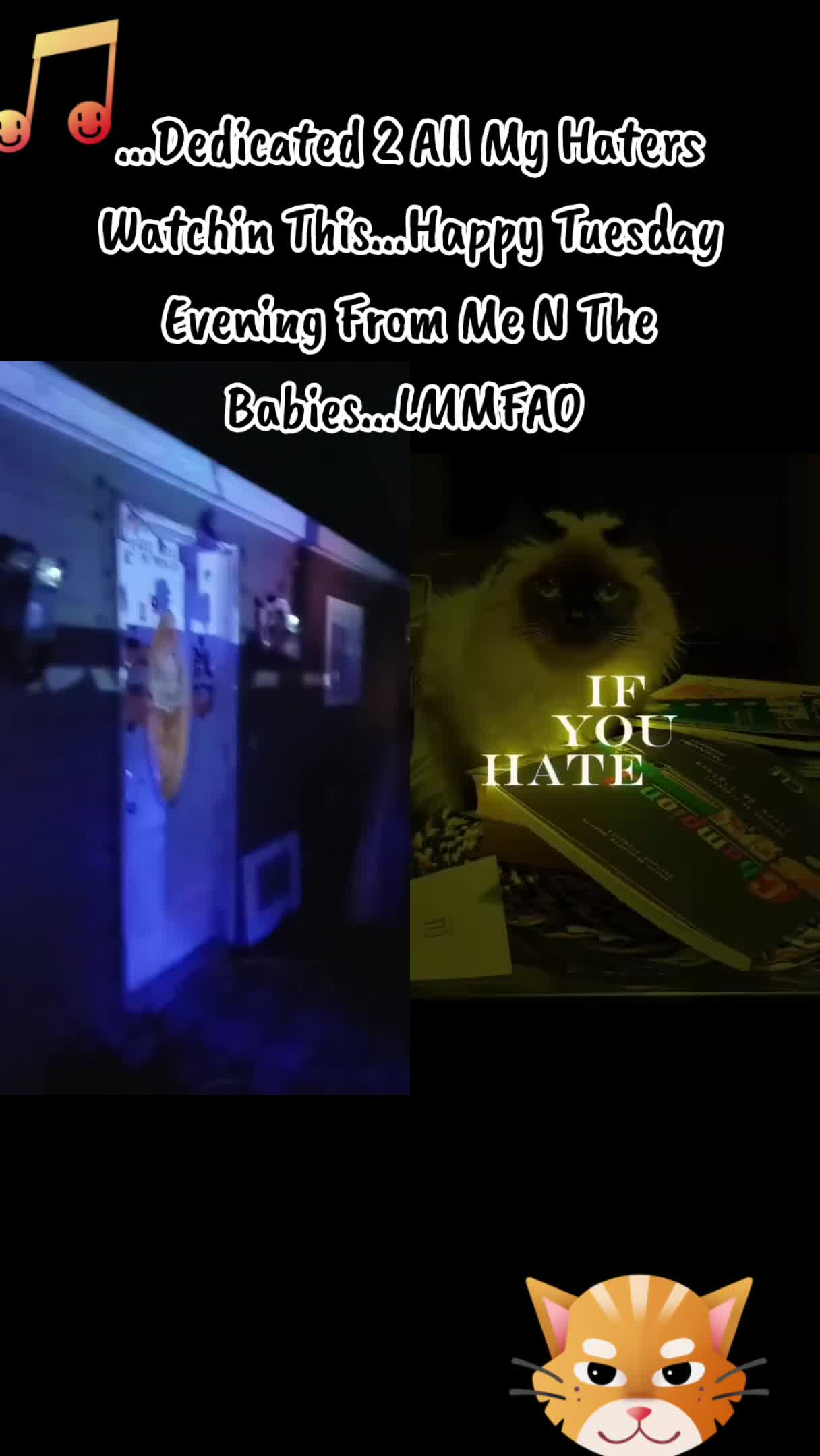 @Booh Hovey crazycatlady3