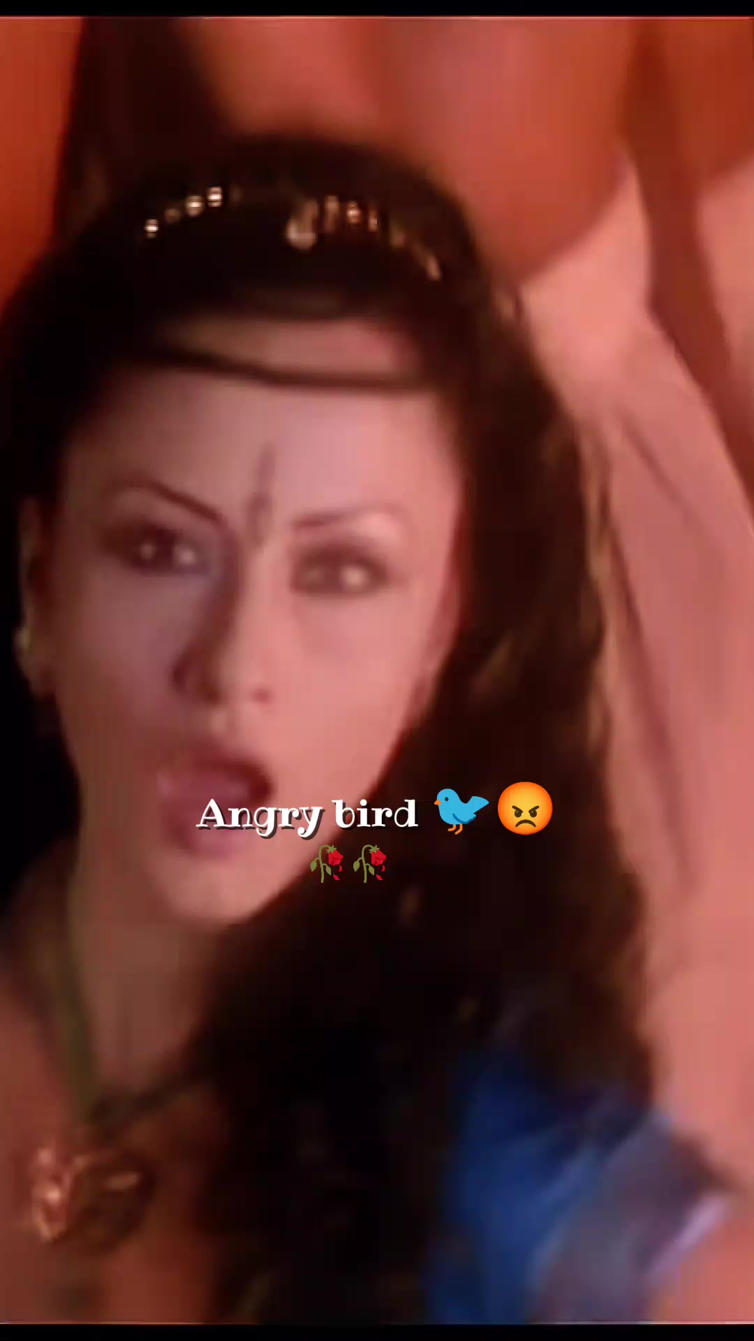 @💫𝖆𝖓𝖌𝖗𝖞 𝖇𝖎𝖗𝖉𝖘💫💥