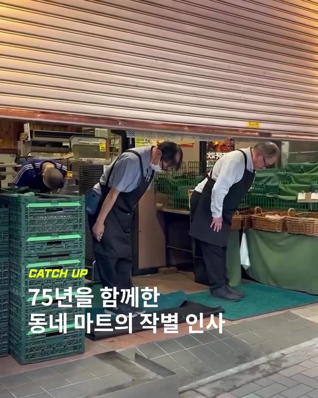 @이슈&트렌드 | 케찹