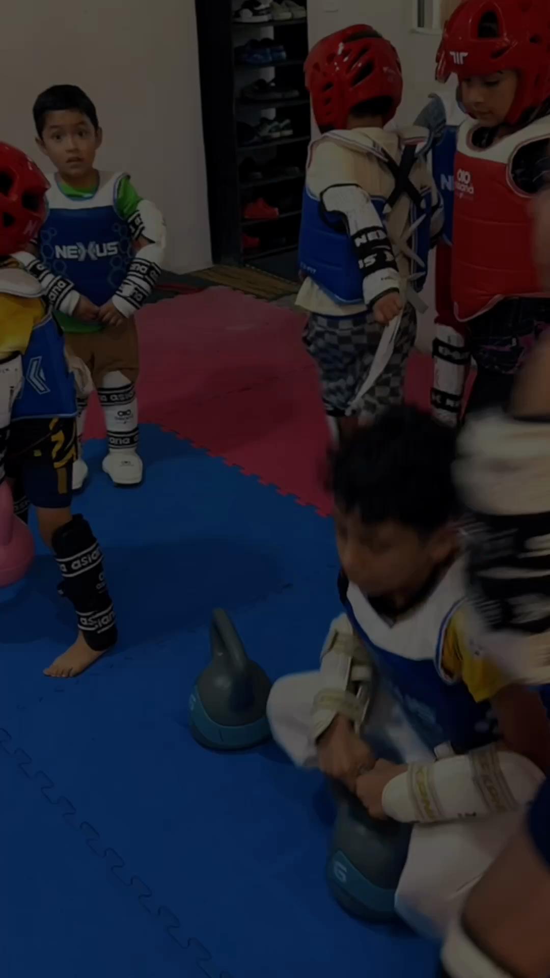 @taekwondolionsteam