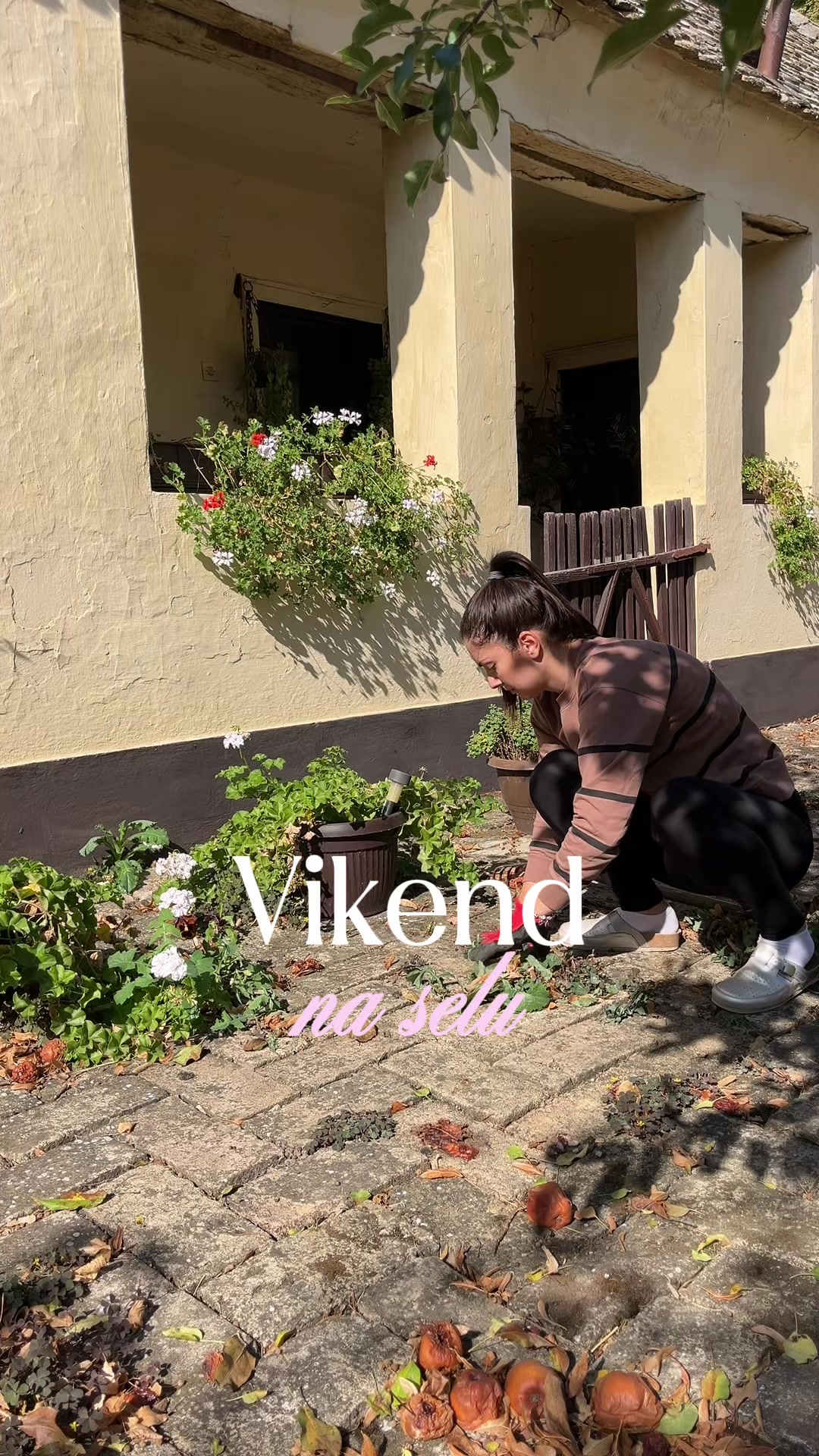 @iz_ugla_jedne_studentkinje