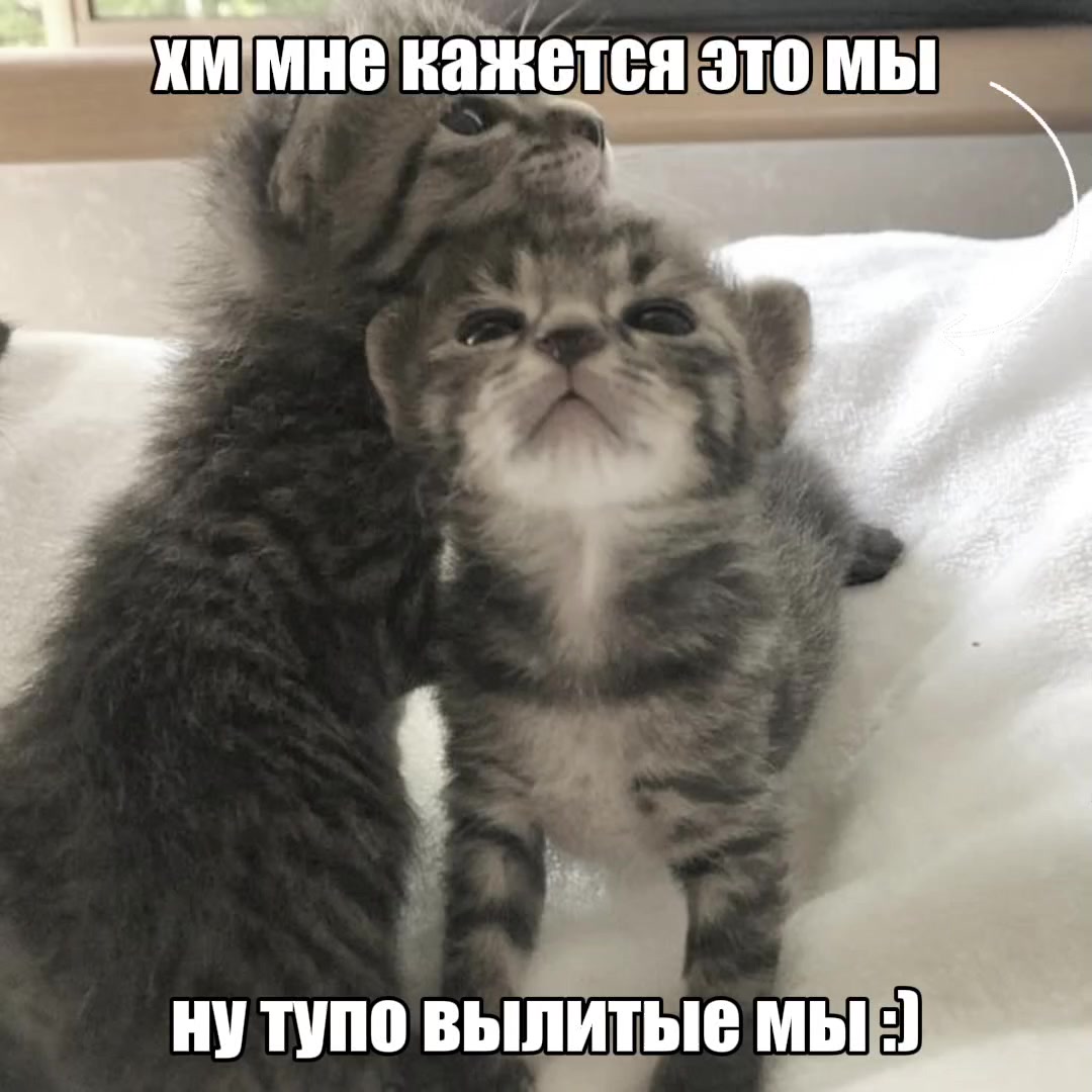 @user34901091111