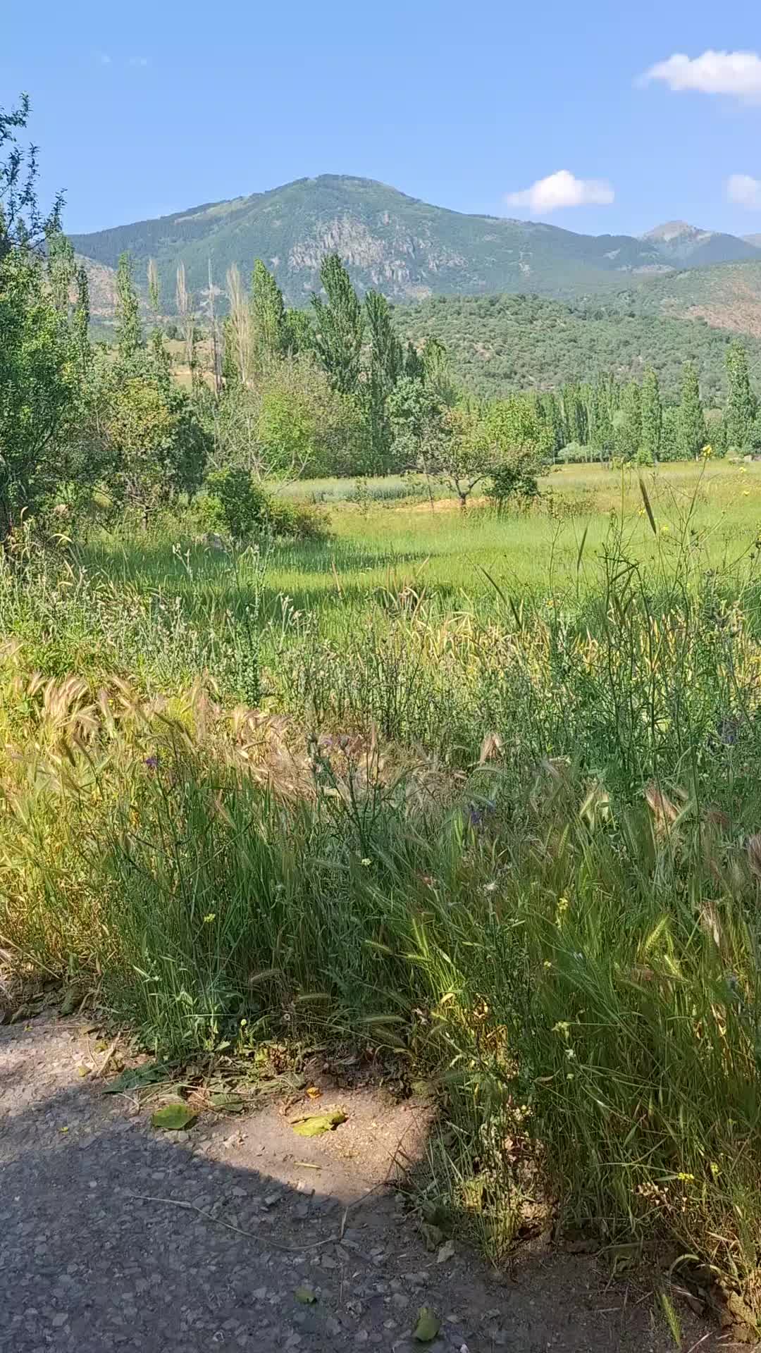 @ufuk