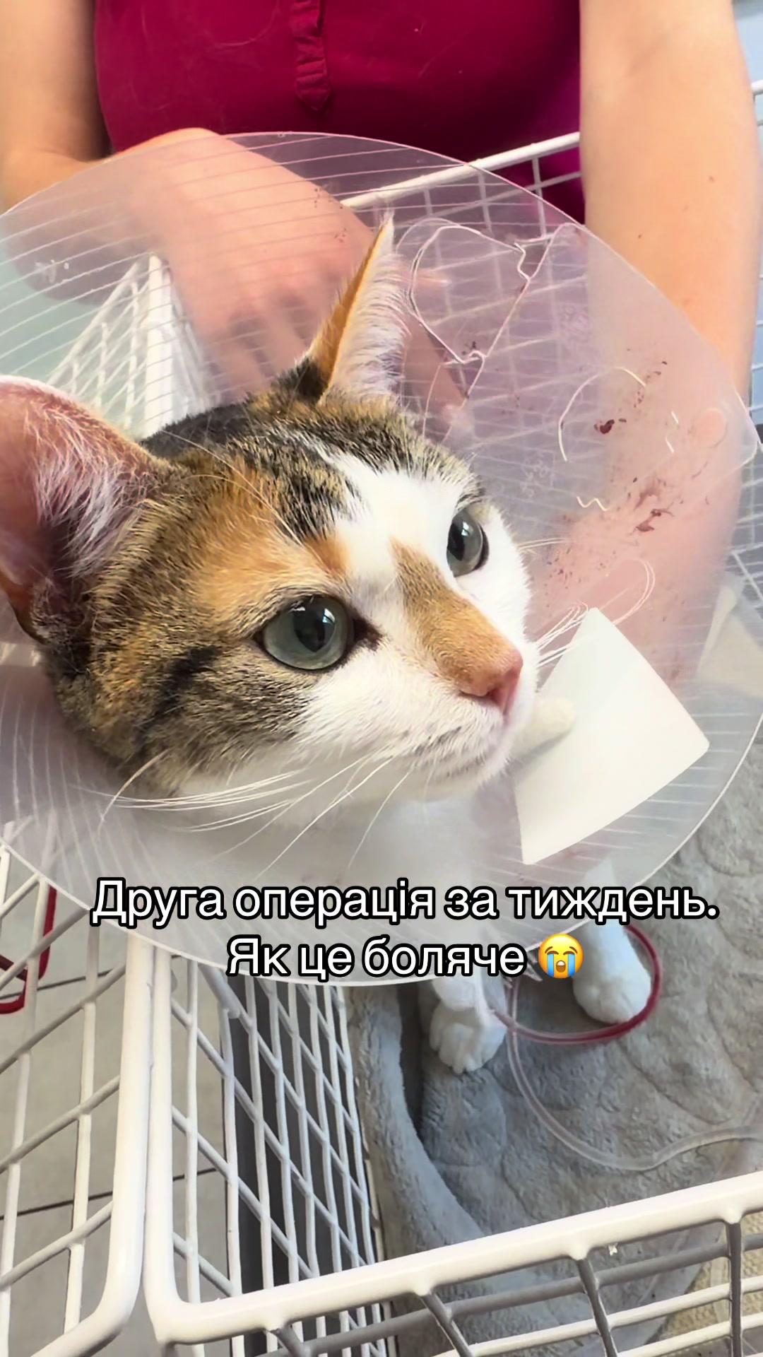 @Алла Сова