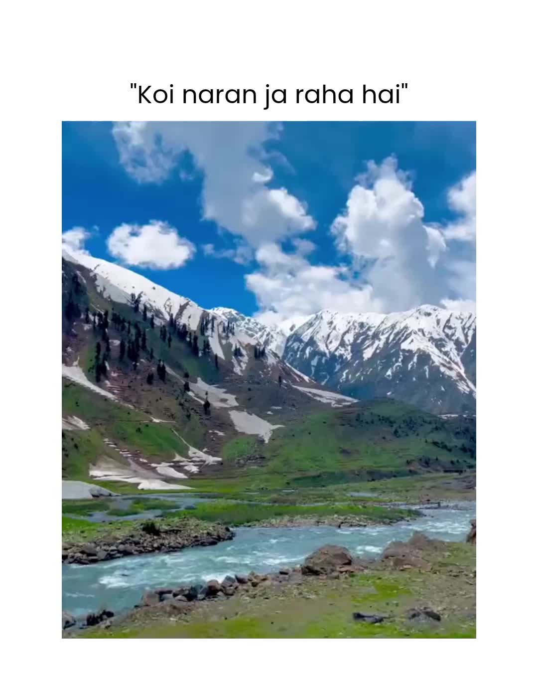 @🌷پـھـــولــوں کــی رانی🌷