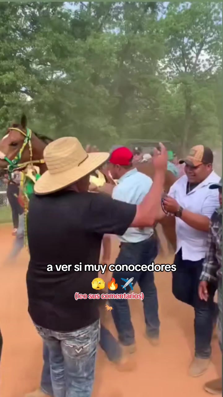 @carriles altos de jalisco🐎