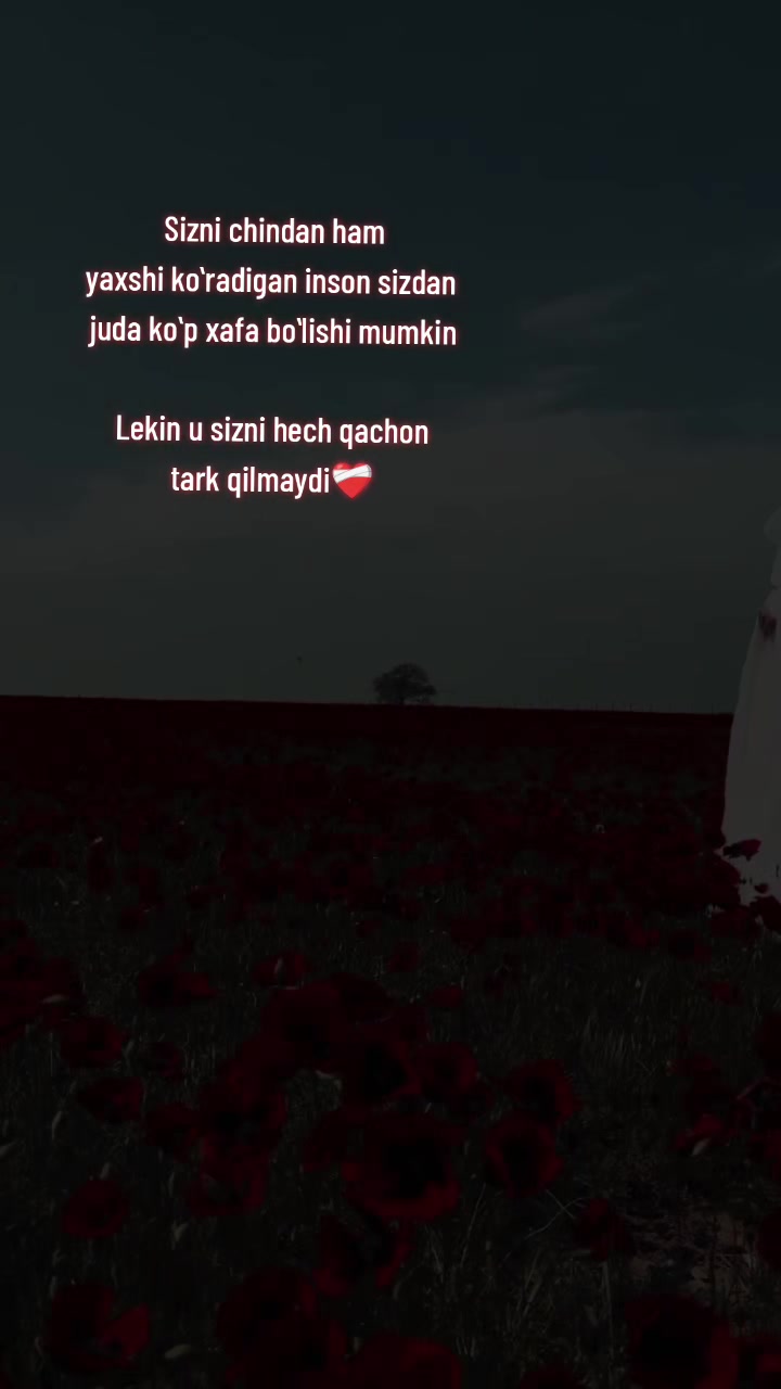 @𒆜✷𝐒𝐞𝐯𝐢𝐧ç✷𒆜